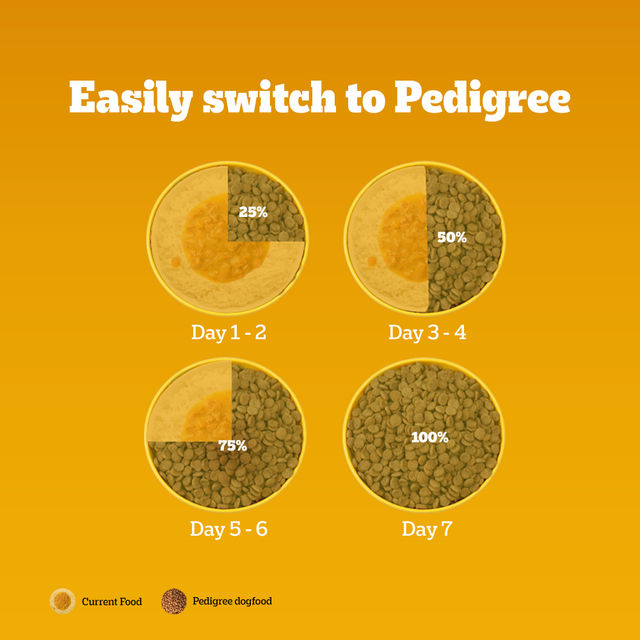 Pedigree Adult Chicken-Egg & Rice Dry Dog Food