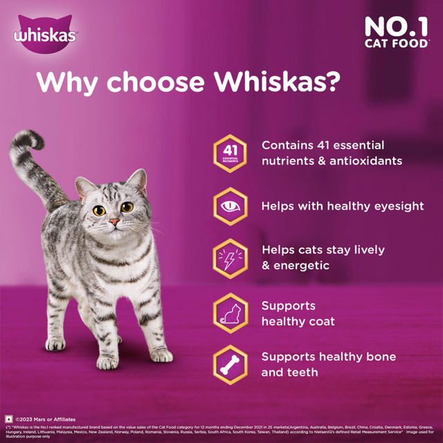 Whiskas Adult Ocean Fish Flavour Dry Cat Food