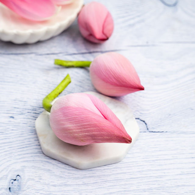 Lotus
