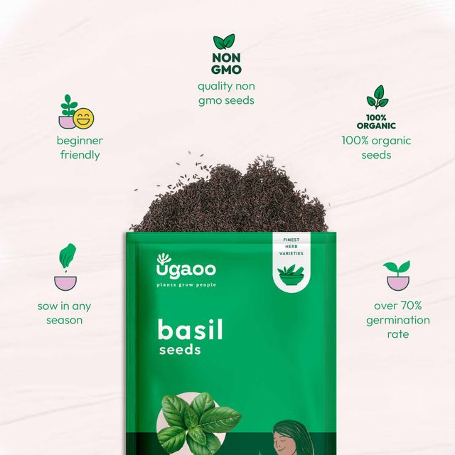 Ugaoo Italian Basil Seeds(1pc) & Ugaoo Cherry Tomato Seeds(1pc) Combo