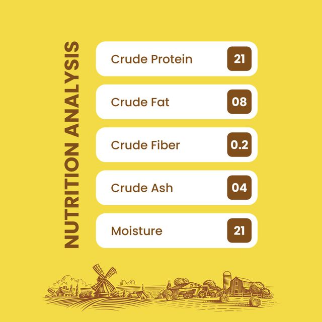 Dogfest Meat Sticks Duck Dog Treat | 100% Natural Dog Snack | Human - Grade Dog Treats