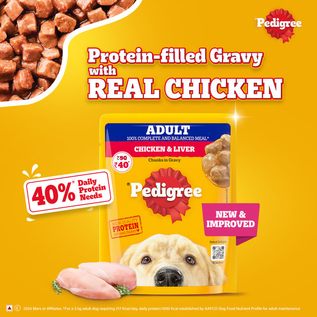 Pedigree Adult Chicken & Liver Chunks In Gravy Wet Dog Food