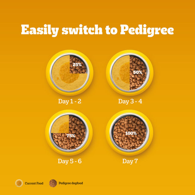 Pedigree Adult Chicken & Vegetables Dry Dog Food