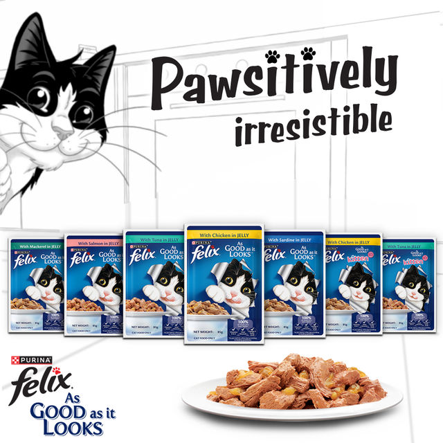 Purina Felix with Chicken in Jelly | Wet Food for Adults | Complete and Balanced Adult Food