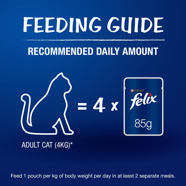 Purina Felix with Chicken in Jelly | Wet Food for Adults | Complete and Balanced Adult Food
