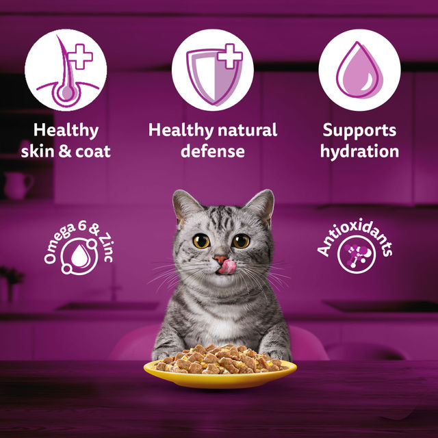 Whiskas Adult Chicken in Gravy Wet Cat Food, 80g, Pack of 4