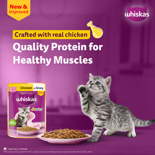 Whiskas Junior Chicken in Gravy Wet Cat Food, 80g, Pack of 3