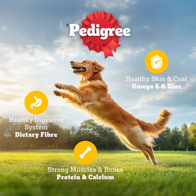 Pedigree Adult Chicken-Egg & Rice Dry Dog Food