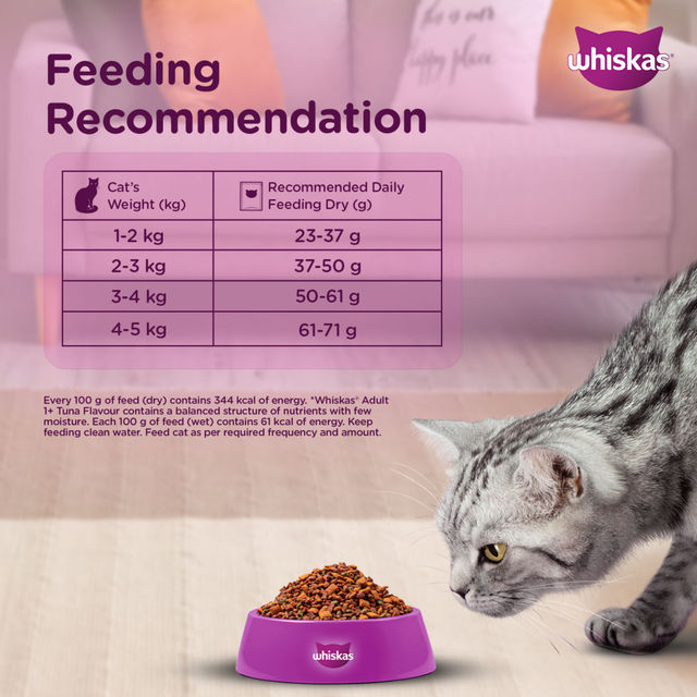 Whiskas Adult Ocean Fish Flavour Dry Cat Food