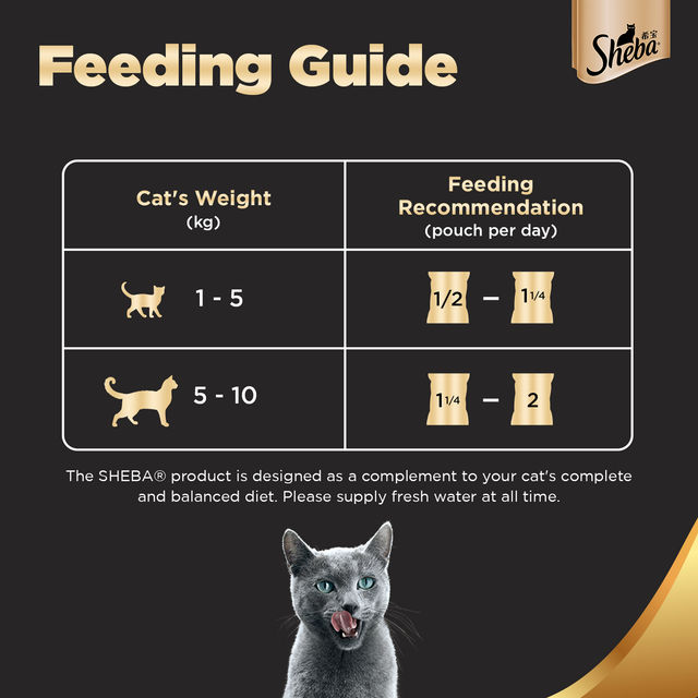 Sheba Rich Adult Fish with Dry Bonito Flavour Wet Cat Food