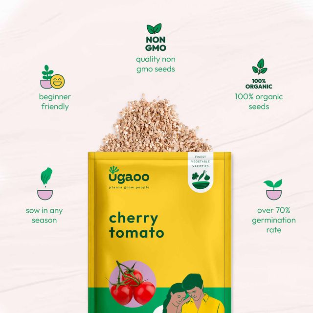 Ugaoo Italian Basil Seeds(1pc) & Ugaoo Cherry Tomato Seeds(1pc) Combo