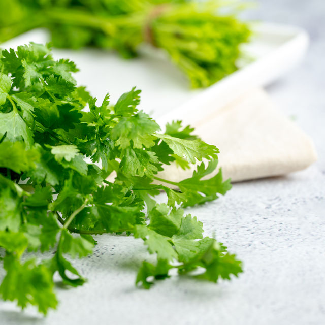 Coriander Leaves (Koththamalli) - Cleaned, with roots 100 g Combo