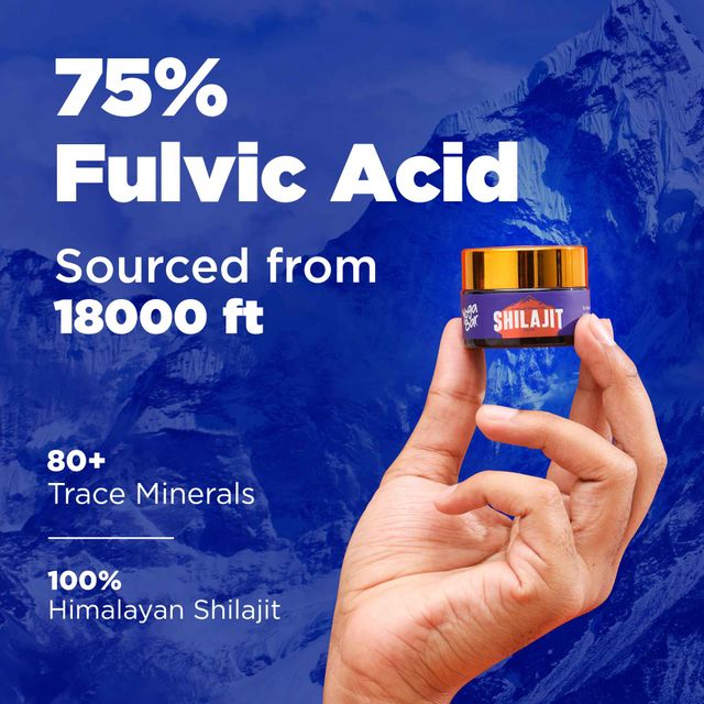 Yogabar Himalayan Shilajit Shilajeet Resin