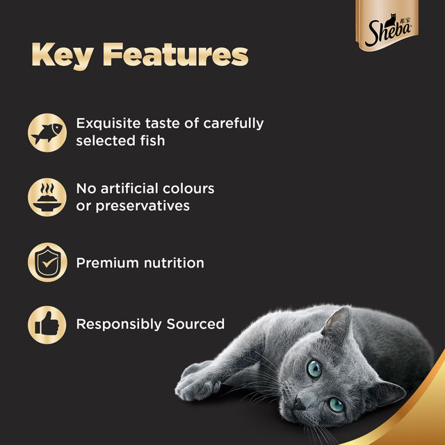 Sheba Rich Adult Fish with Dry Bonito Flavour Wet Cat Food