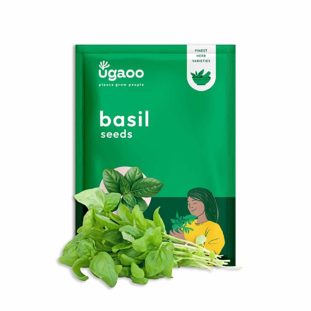Ugaoo Italian Basil Seeds(1pc) & Ugaoo Cherry Tomato Seeds(1pc) Combo