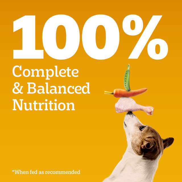 Pedigree Adult Chicken & Vegetables Dry Dog Food