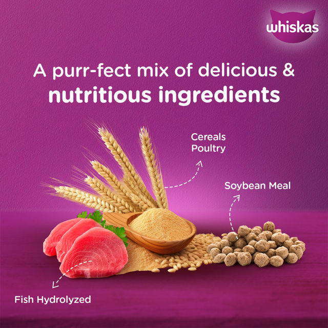 Whiskas Dry Cat Food - Mackerel Flavour For Adult Cats +1 Year