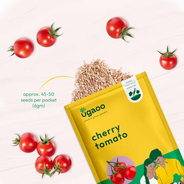 Ugaoo Italian Basil Seeds(1pc) & Ugaoo Cherry Tomato Seeds(1pc) Combo