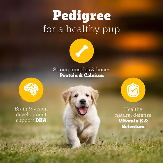 Pedigree Puppy Chicken & Milk Dry Dog Food