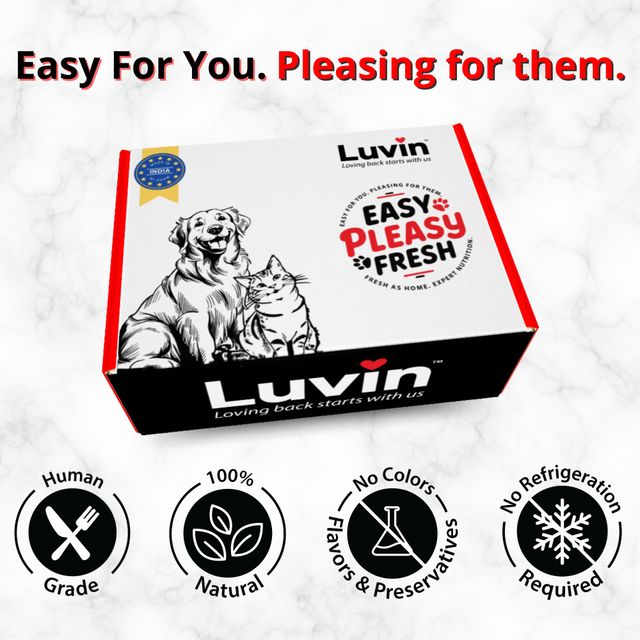 Luvin Chicken Bone Broth For Cats