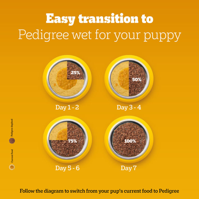 Pedigree Puppy Chicken & Milk Dry Dog Food