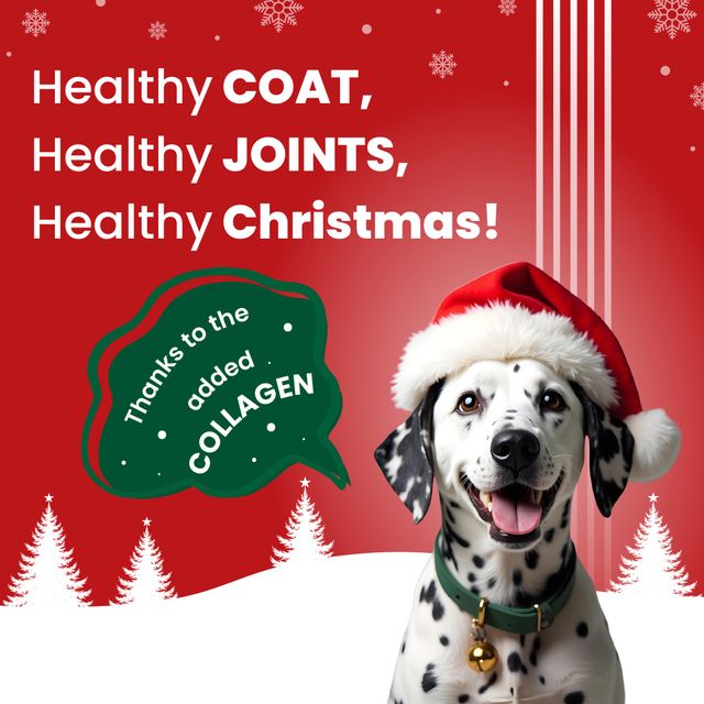 BARK OUT LOUD Protein Bars - Dog Treats with Chicken, Fish added Collagen