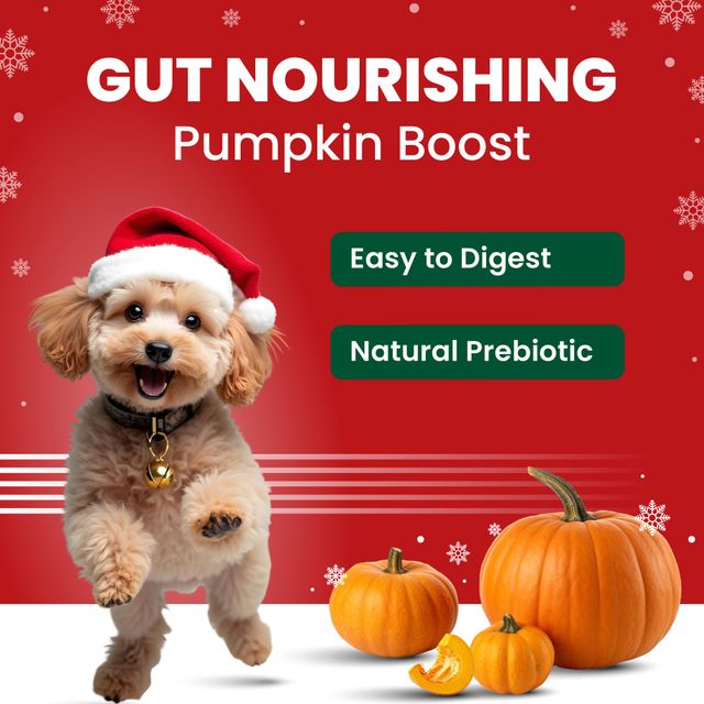 BARK OUT LOUD Protein Bars - Dog Treats with Chicken, Fish added Collagen