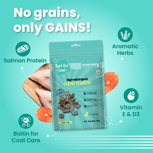 Bark Out Loud | Salmon And Turkey Dog Food For Medium / Large Breed (2kg) & Bark Out Loud Mini Fishes Dog Treats - No Grain & Hypoallergenic Snack For Dogs (100g) Combo