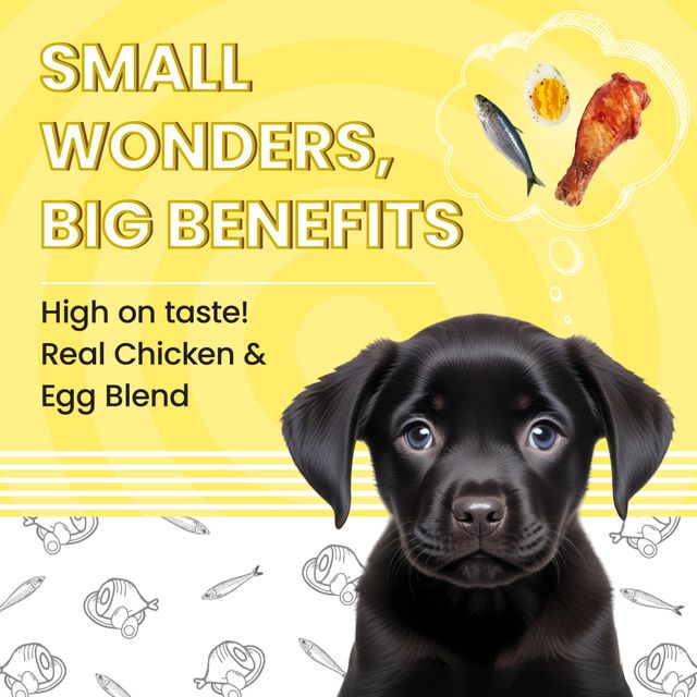 Bark Out Loud - Essentials Puppy Dry Food | Fresh Chicken & Egg | No Preservatives | Gluten-Free Kibbles