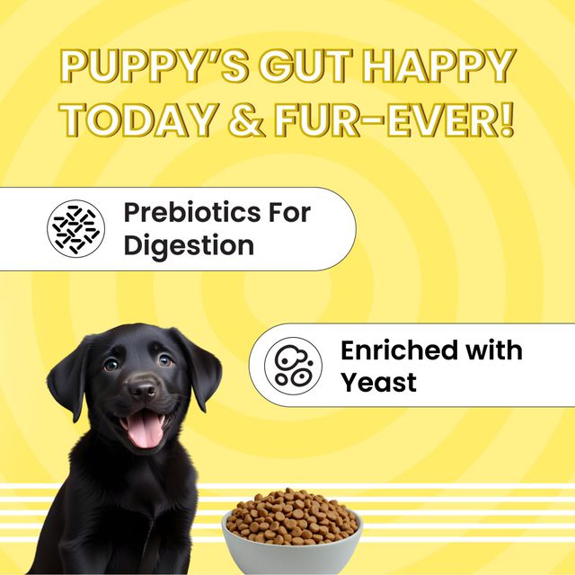Bark Out Loud - Essentials Puppy Dry Food | Fresh Chicken & Egg | No Preservatives | Gluten-Free Kibbles