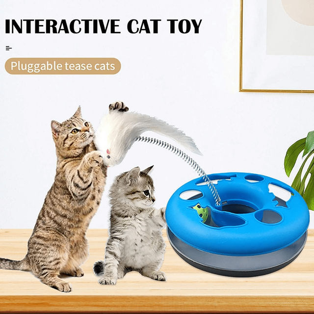 Foodie Puppies Interactive Cat Happy Circle With Ball Bell & Teasing Stick | Fun Toy For Cats - Assorted