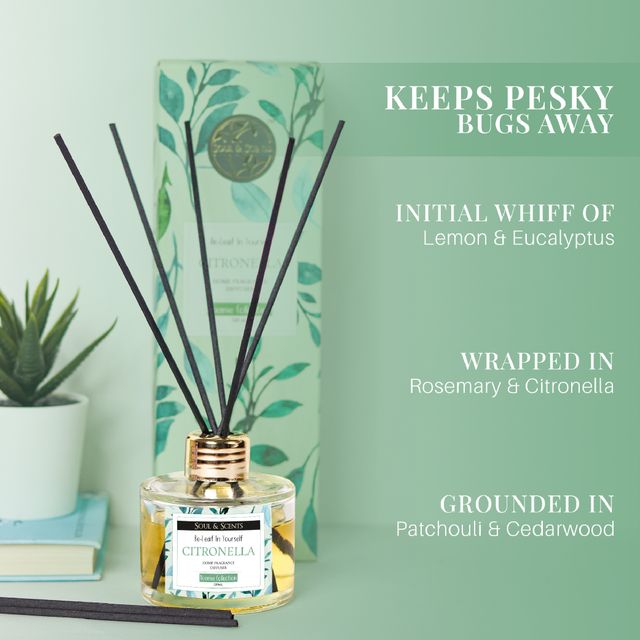 Soul & Scents Citronella Reed Diffuser| Rakhi Gift for Brother & Sister