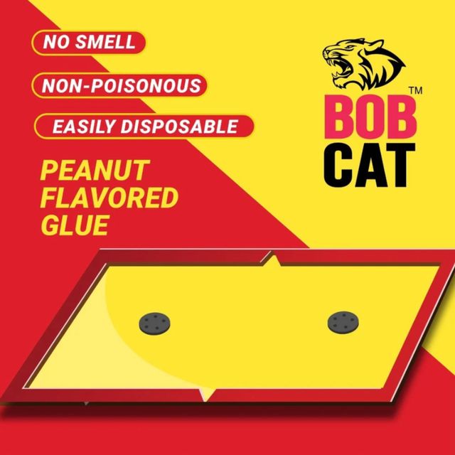 BOB CAT RAT GLUE TRAP STRONG- PACK OF 3-MEDIUM SIZE