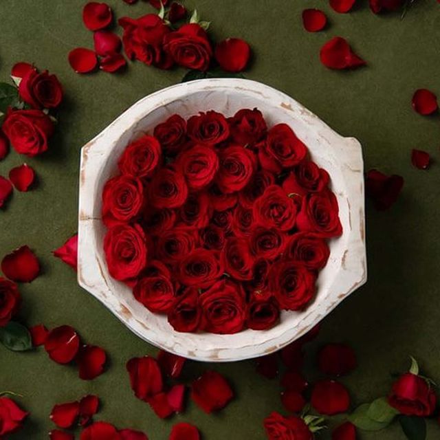 Floating Roses | Set Of 6 | 6cm Rose | Red