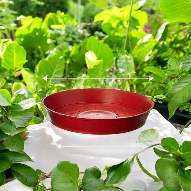 Leafy Tales Plants Bottom Plate, Drip Tray For Plants, Gamla, (8-Inch, Brown, Set Of 8)