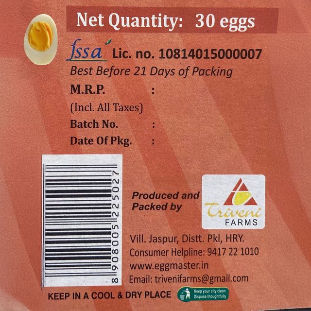 Egg Master Daily Bites