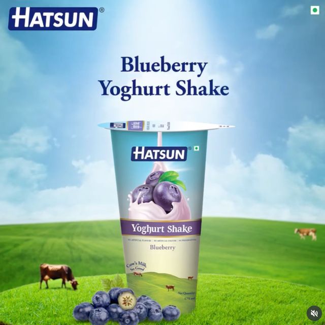 Hatsun Yogurt Drink Blueberry 175 ml Combo