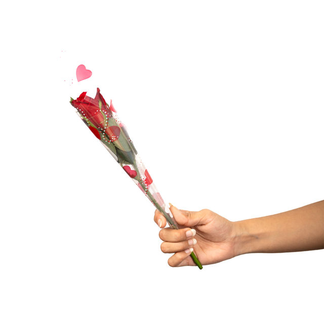 Bloom Single Stem Rose