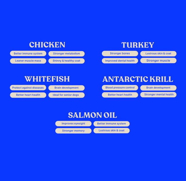 Magnafeast Adult Dog FOOD