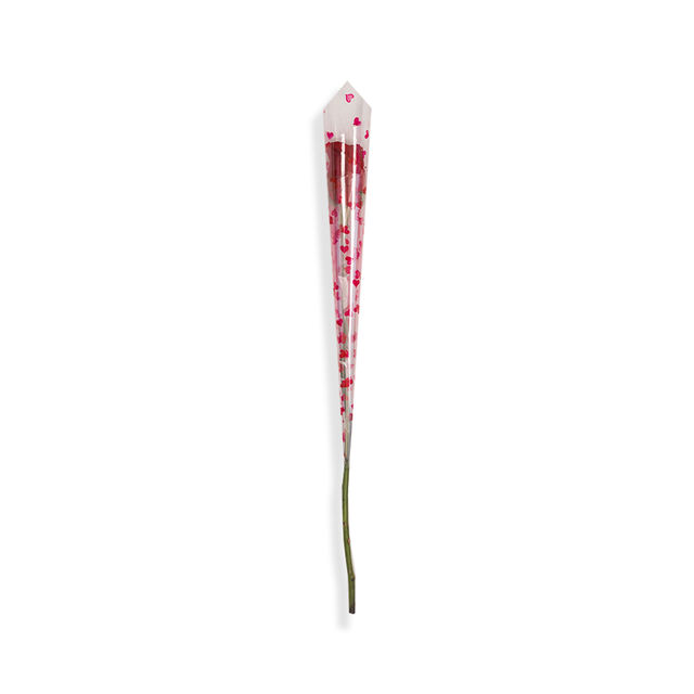 Single Rose