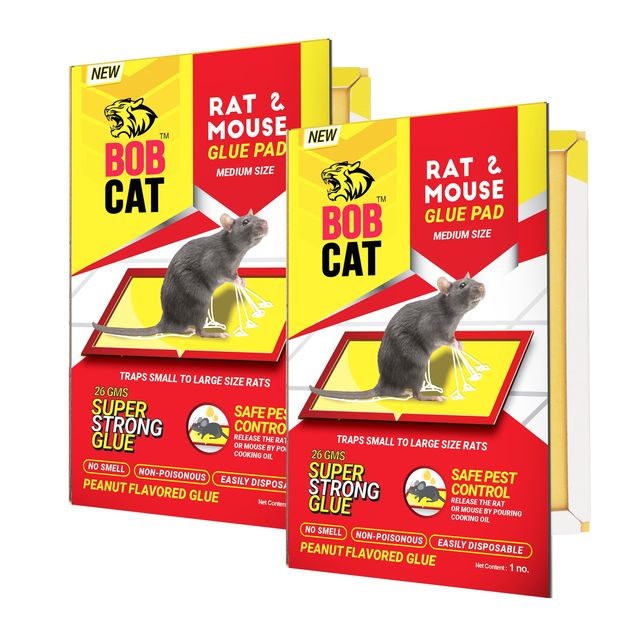 BOB CAT RAT GLUE TRAP STRONG- PACK OF 2 -MEDIUM SIZE