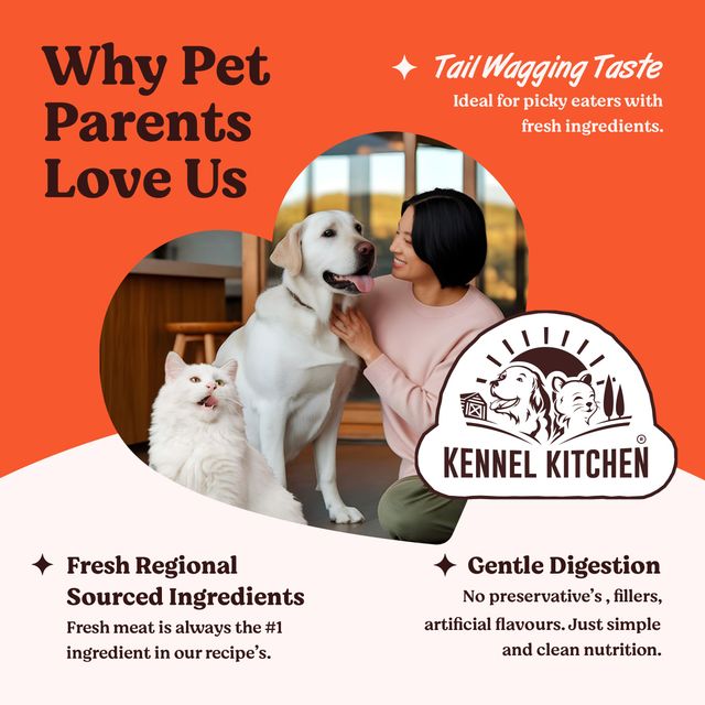 Kennel Kitchenchicken In Jelly