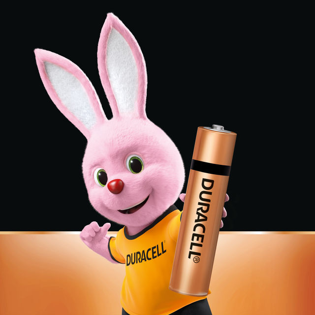 Duracell Alkaline AA Batteries | Long-lasting