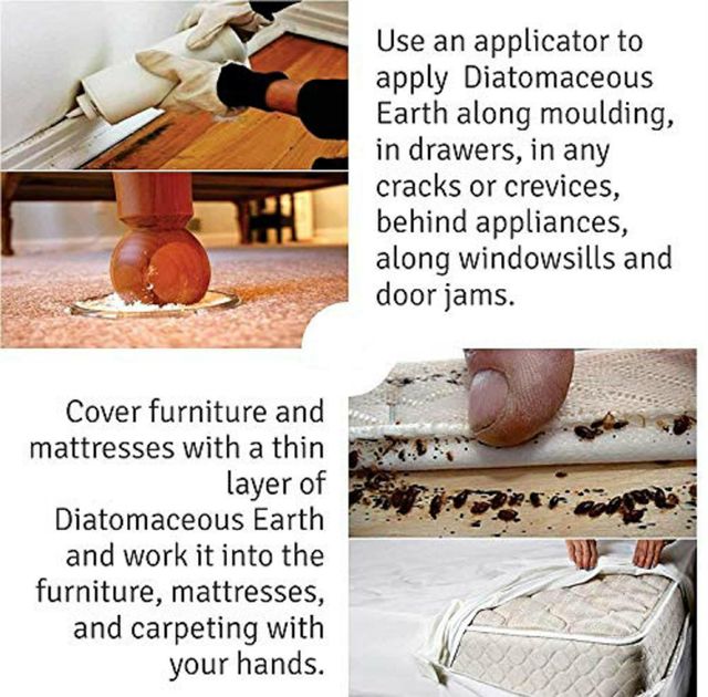 Unitedlys Diatomaceous Earth Powder 800G With Measuring Spoon