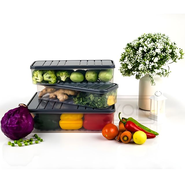 Youbee Multipurpose Fridge Storage Organizer Containers For Vegetables ,1200 Ml , Set Of 2