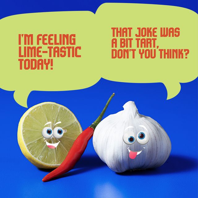 CRISTA Zesty Chilli Lime Seasoning