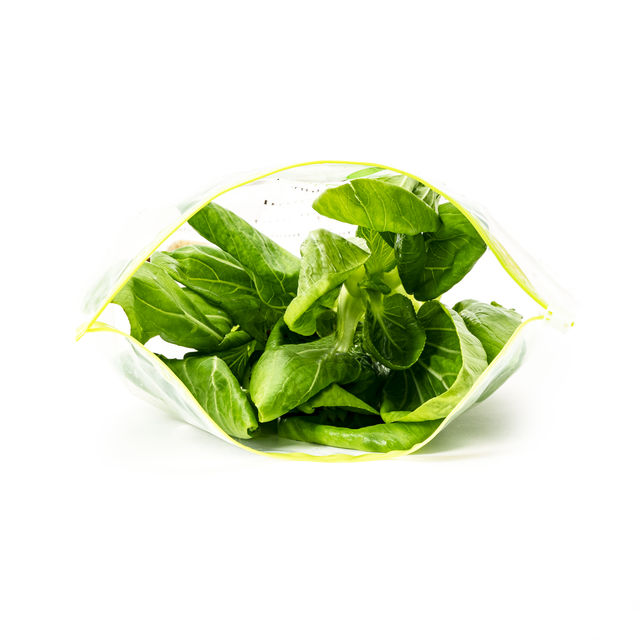 Hydroponic Bok Choy / Pok Choi
