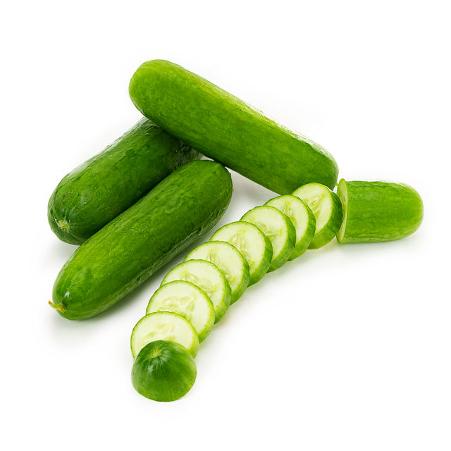 Hydroponic Snacking Seedless Cucumber