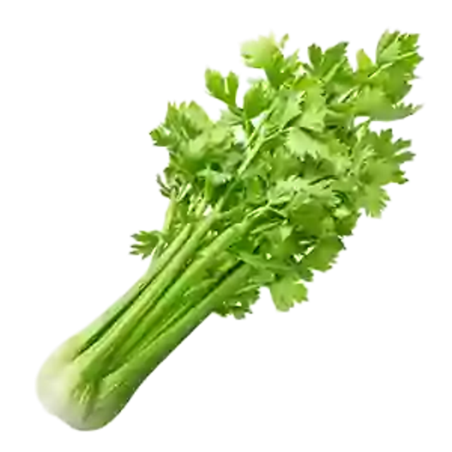 /tmp/20231006-1522411.jpeg
