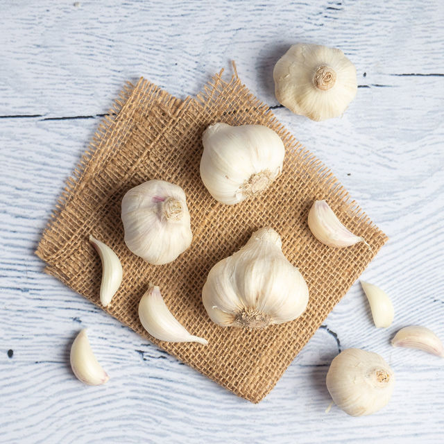 Garlic
